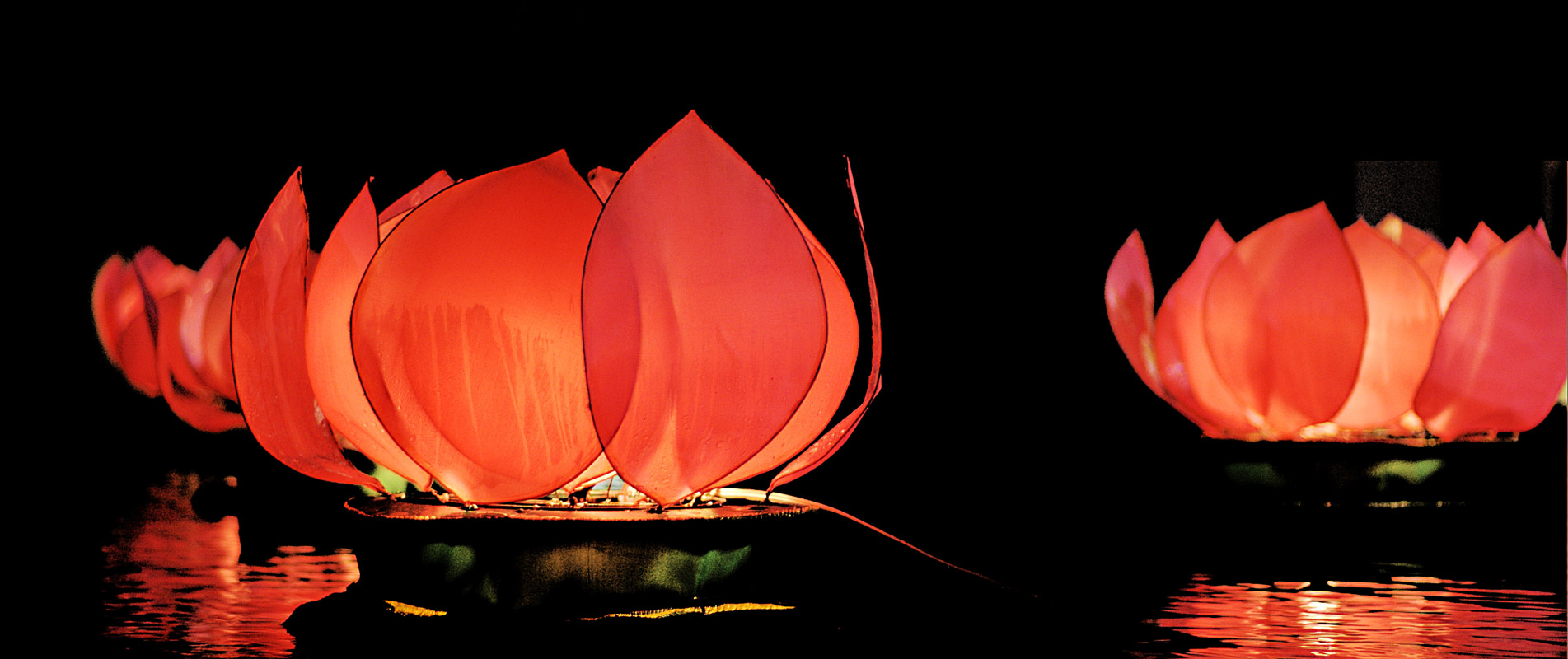 Lotus lantern как подключить